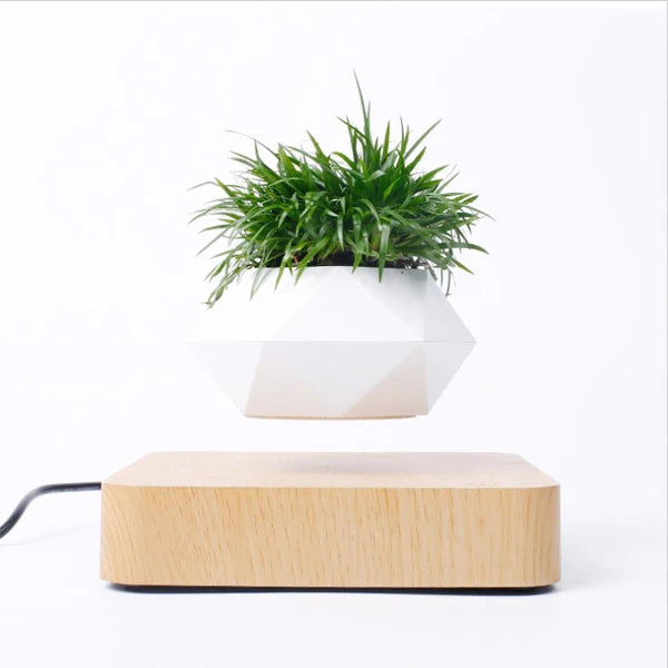 Levitating Pot